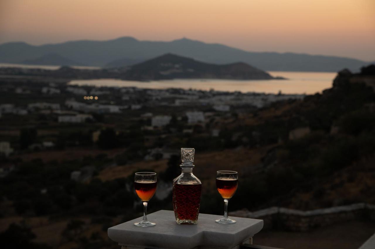 Aparthotel Alta Vista Naxos Naxos City Exteriér fotografie